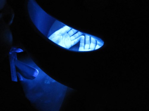 pi_131210_002.JPG