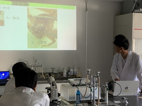 科学の甲子園 合同学習会
